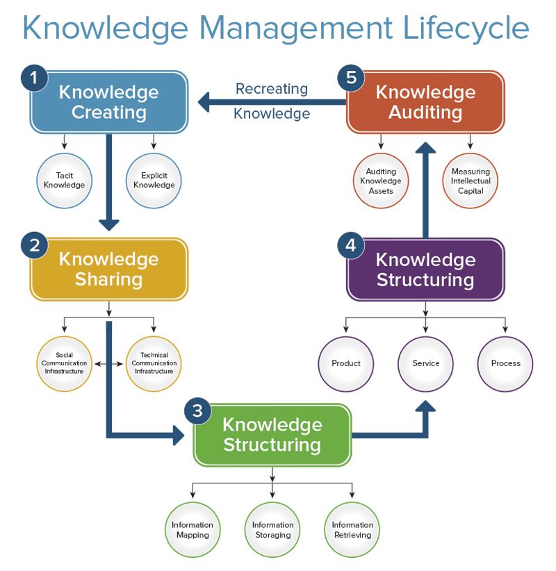 case study knowledge process